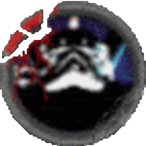 captainhawkingrepublicforgejunk avatar