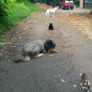 vanessamallia avatar