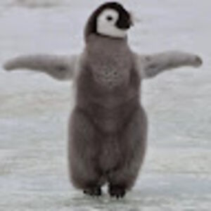 johnblackheart avatar