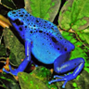 michaeljarvis avatar