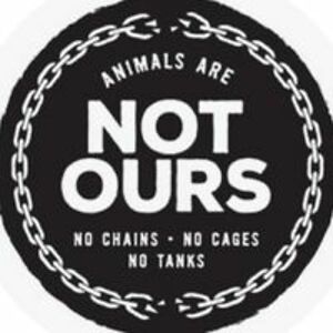 kerrie_welbourn1 avatar