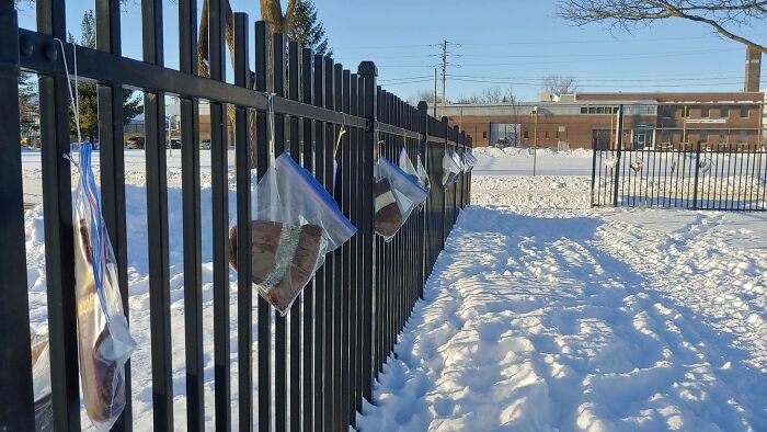 Saw These Handmade Hats And Mittens In My Local Park When Walking The Dog. Very Proud Of My City