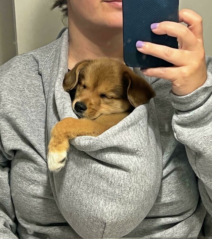 Someone Told Me You Might Like Him