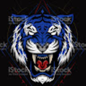 ainsleyvigrass_1 avatar