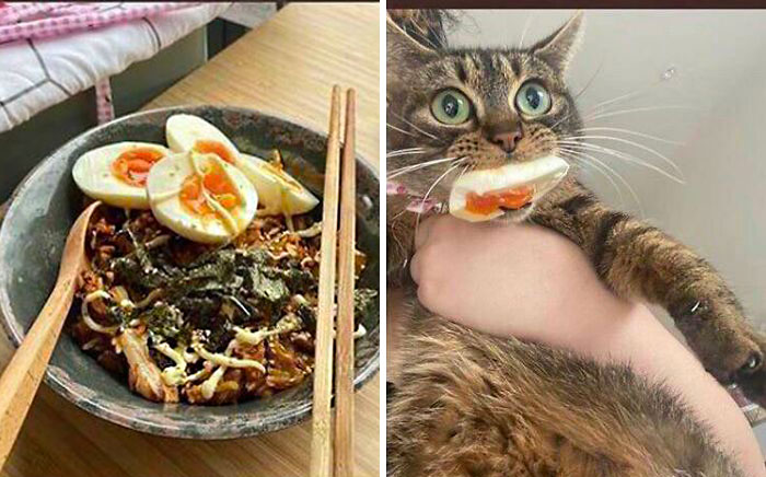 Stop Right There, Criminal Scum