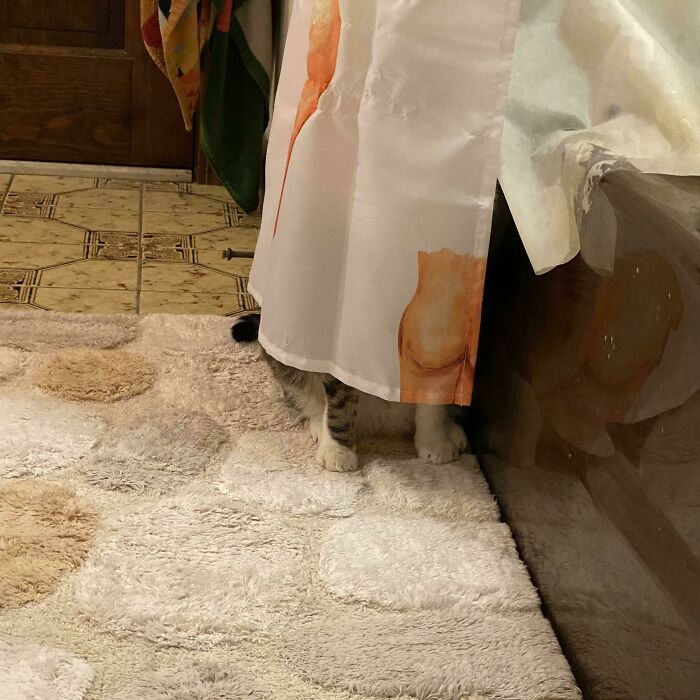 Where Could He Be???