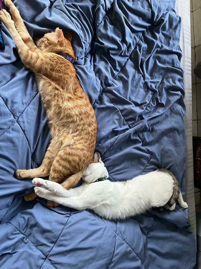 Who Tf Sleeps Like That!?