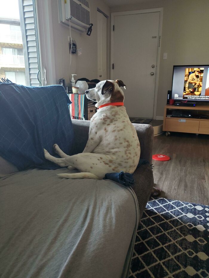 I Love My Dog, But There Are Days....