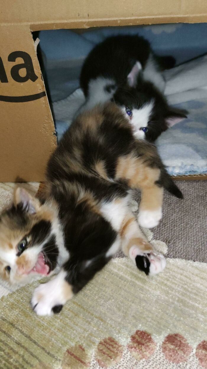 They Are Always Like This