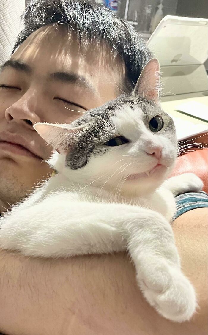 Nugget Is Not Impressed With Our Love