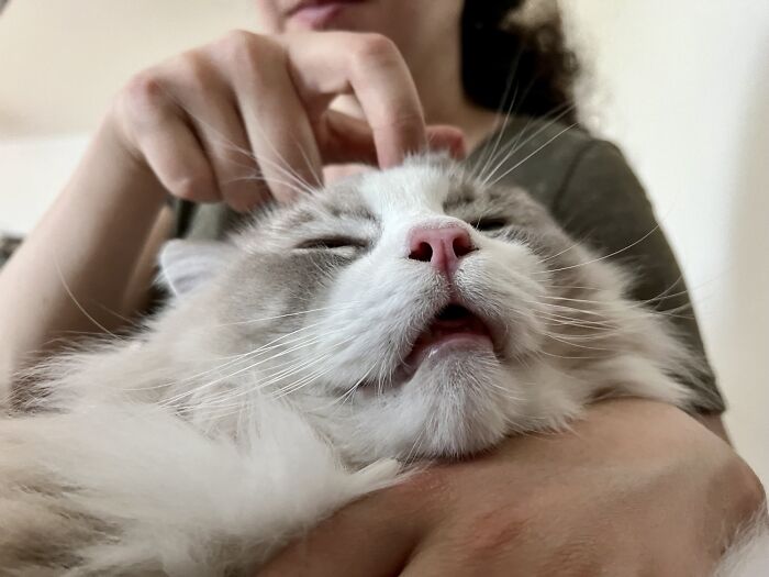 When You Scratch Juuust The Right Spot