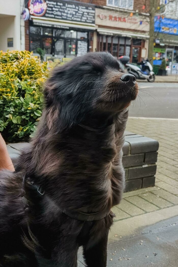 Enjoying The Windy Weather