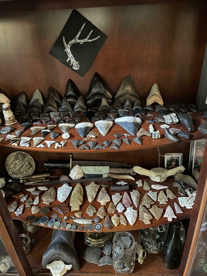 My Collection Of Cool Stuff I’ve Acquired Since Covid Started