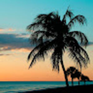 sparkleybright avatar