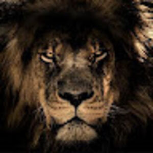 naokoshiuzuke avatar