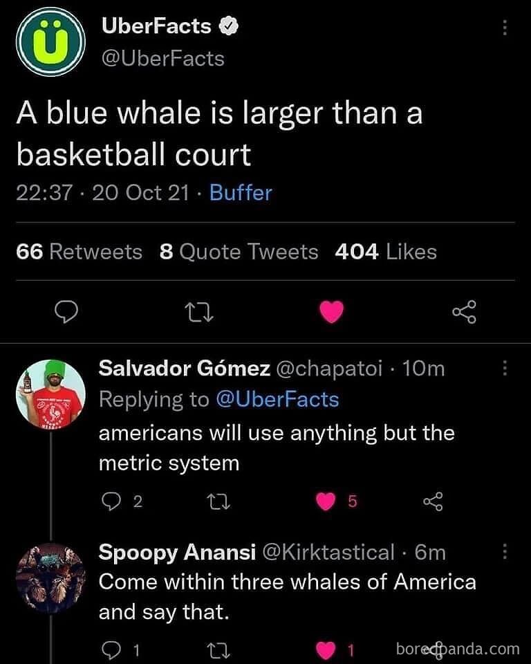 Funny-Very-American-Pics