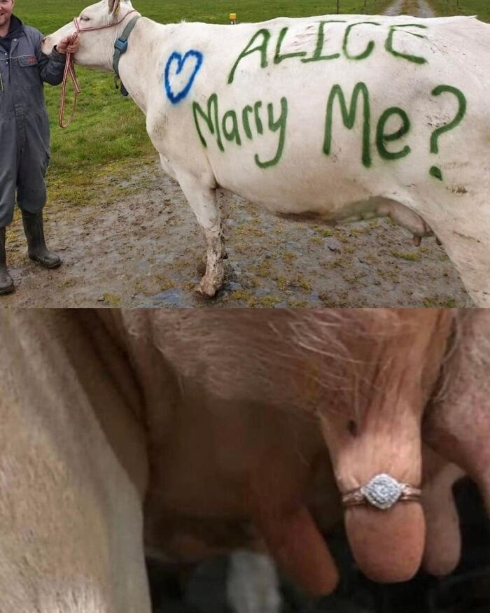 Funny-Very-American-Pics