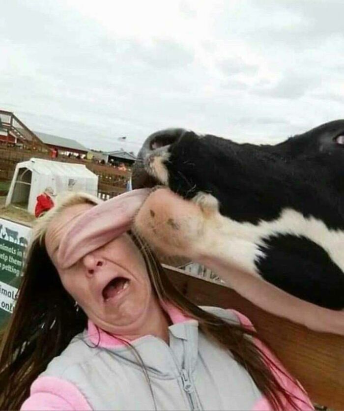 Funny-Very-American-Pics