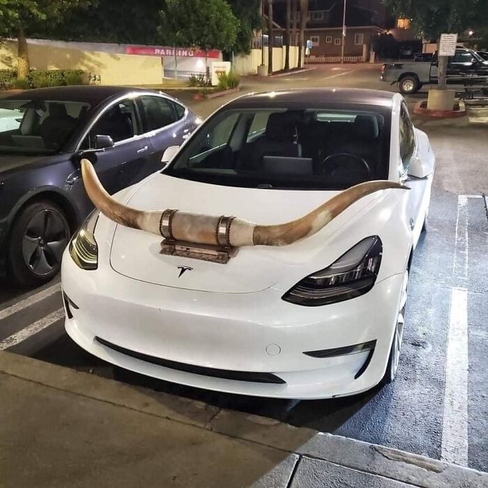 Funny-Very-American-Pics