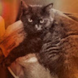 ellenrudderham avatar