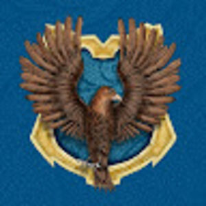 ravenclawsheir avatar