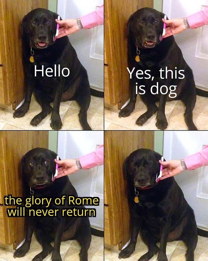 Funny-Historical-Jokes