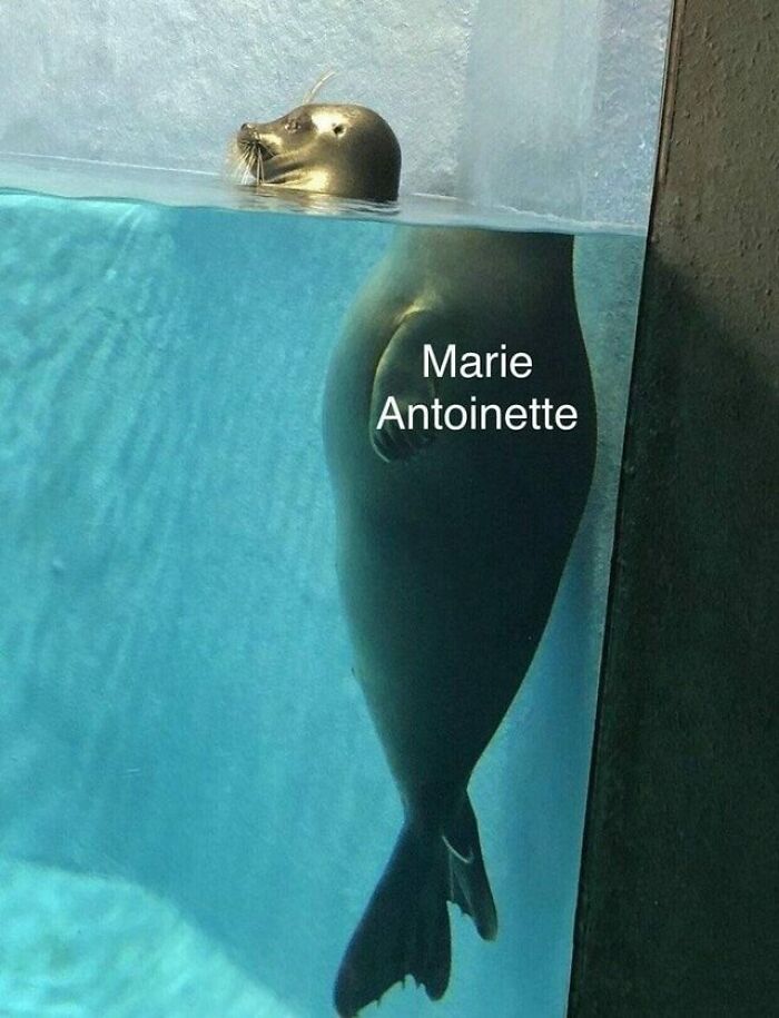 Funny-Historical-Jokes