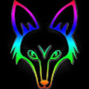 rainbowfoxgaming avatar