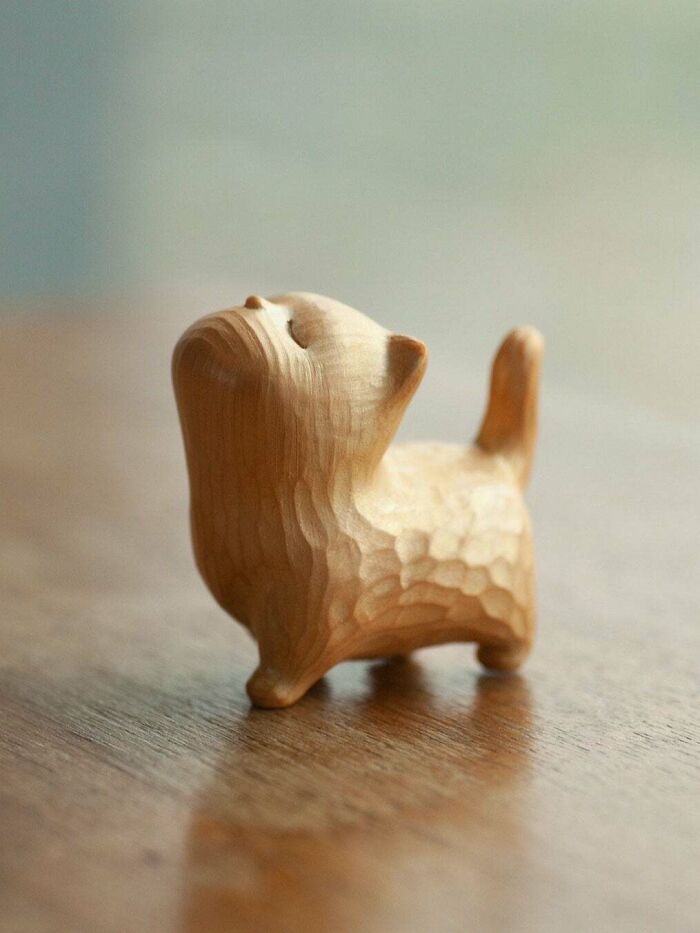 Anyway, I Am Very Happy With This Kitten