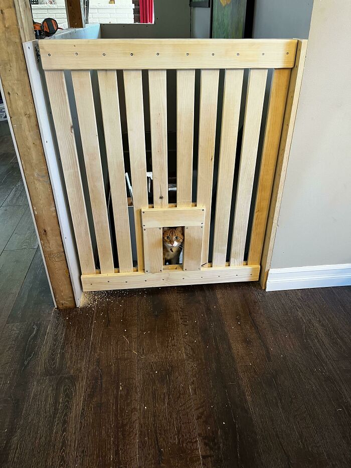 Sold All My Video Game Stuff And Used The Money To Buy Wood Tools. First Ever Project A Gate