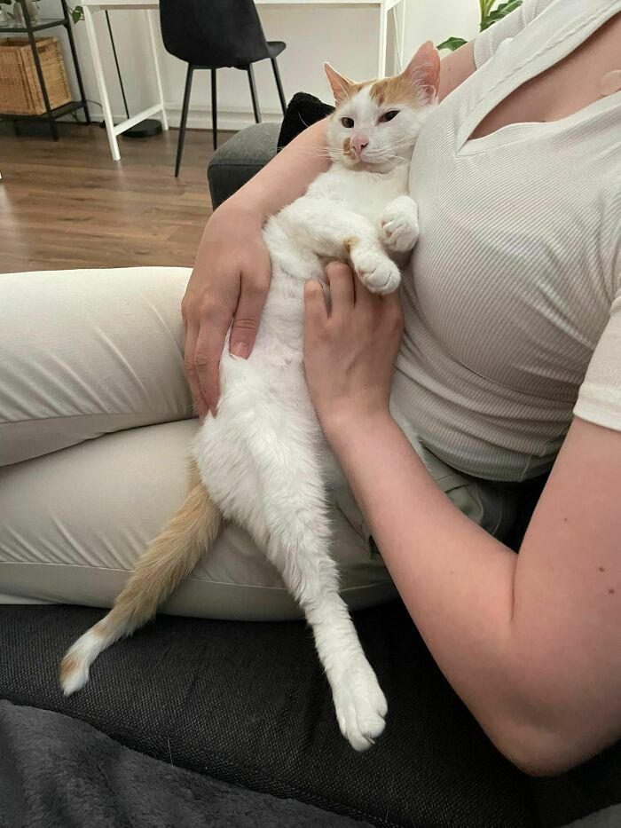 I Adopted Him 2 Days Ago 