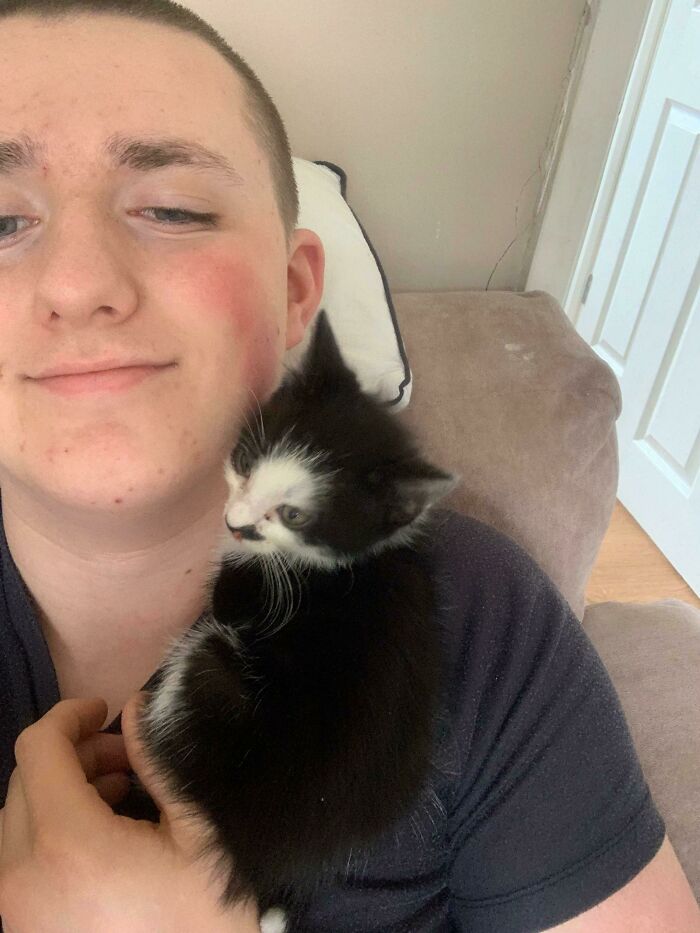 Me And My Girlfriend Adopted A Kitten!