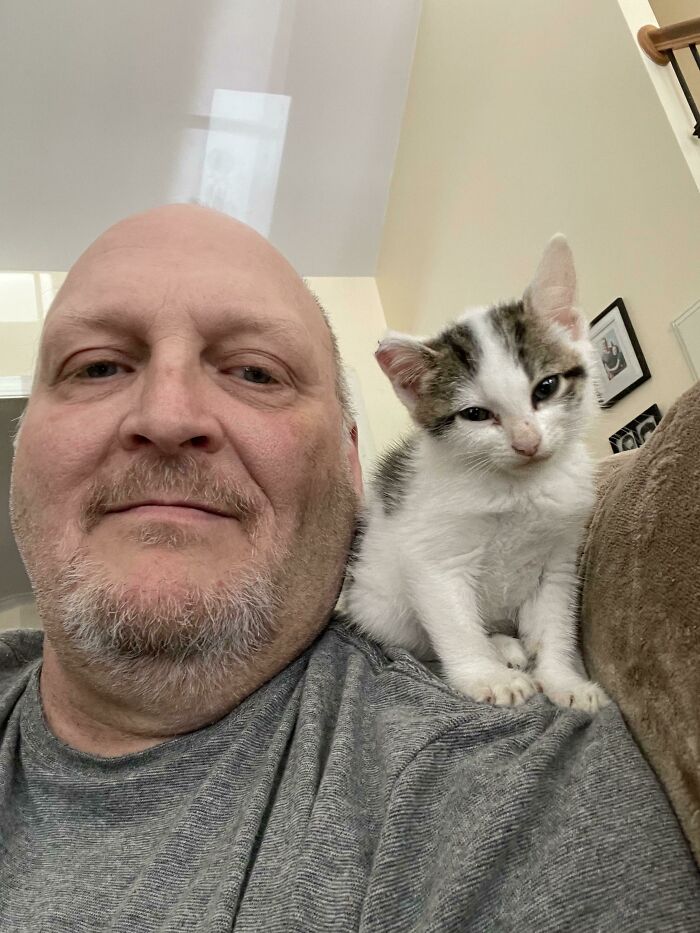 Day Three After Rescue And She’s Already Claimed Her Spot