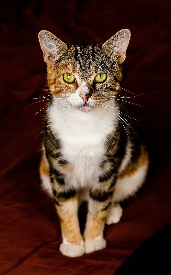 Love This Picture I Took Of My New Rescue 