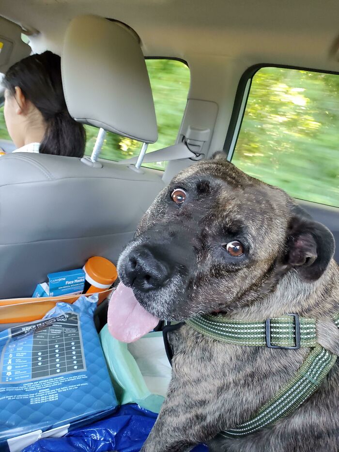 Adopted This Old Girl This Weekend