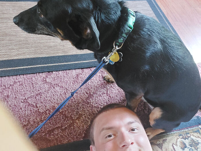 My Dog That I Adopted Came From An Abusive Household, He Usually Runs Away Whenever I Try To Take A Picture With Him But He Didn't This Time! I Actually Love How This Came Out And I Wanted To Show Someone!