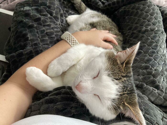 Our Adopted Boy Felix