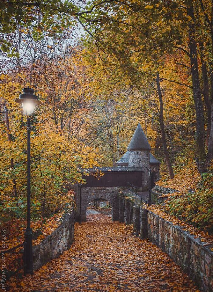 The Dreamiest Place For A Walk