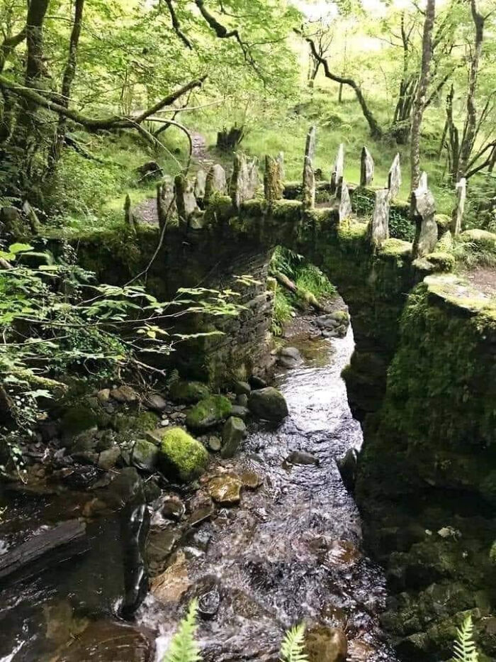 Dare To Cross The Fairy Bridge?