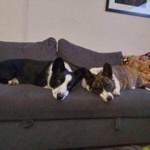 elsamhamilton93 avatar