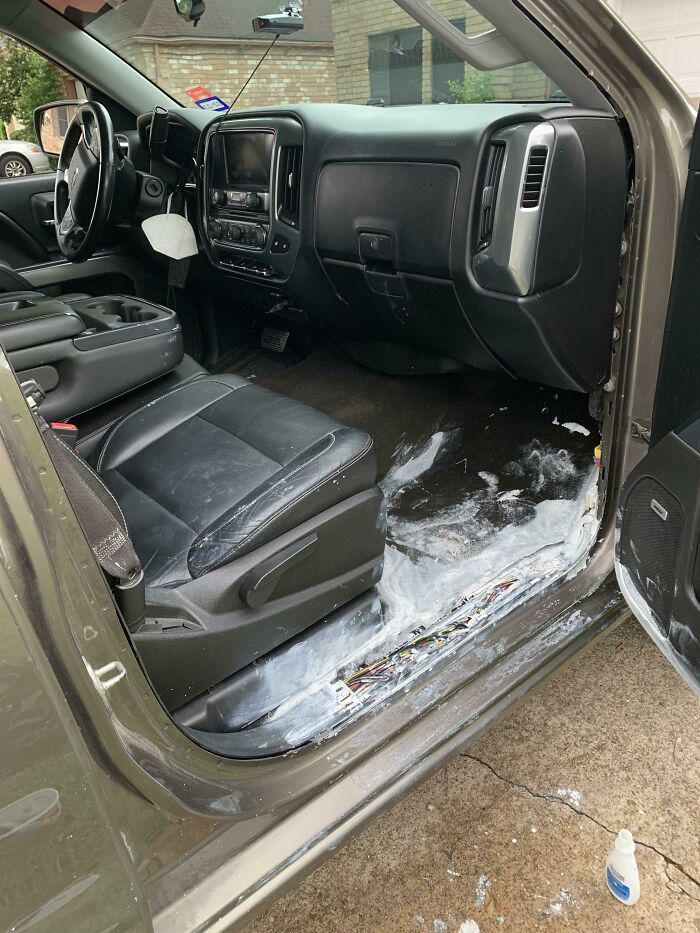 Today, I’m The Winner. Fiancé Accidentally Spilled A Gallon Of Paint In The Truck