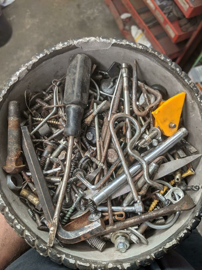 Officially One Year Of Tire Punctures, Approx 3 Pounds. Time To Release Them Back Into The Wild 