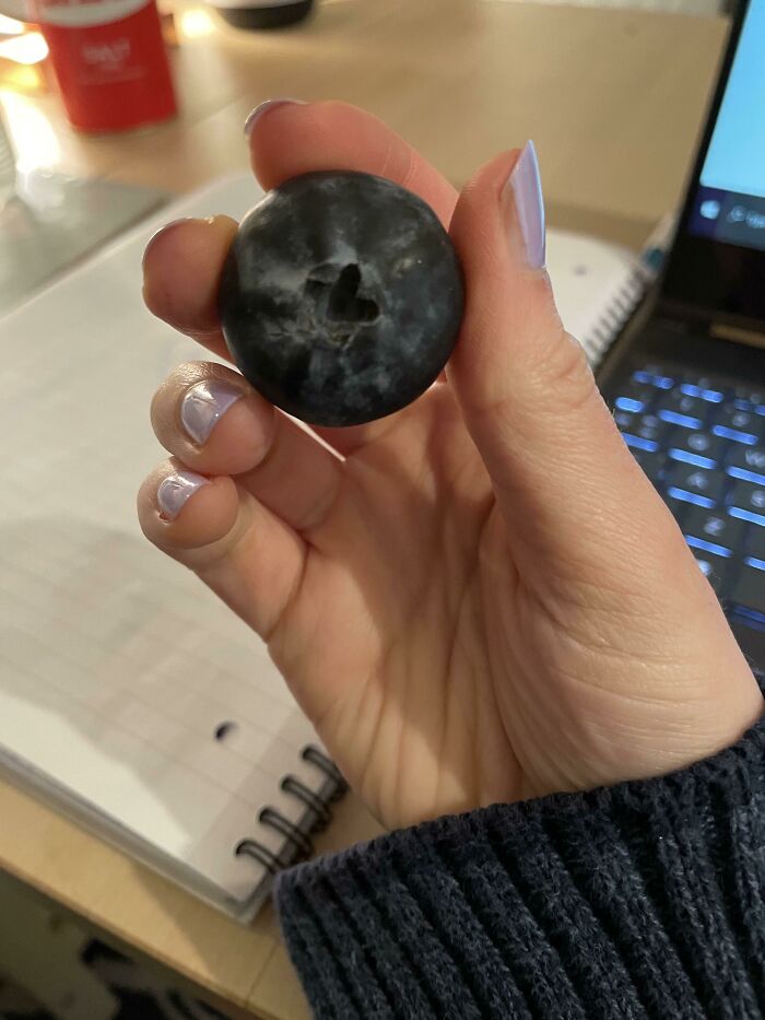 This Giant Blueberry I Found Today