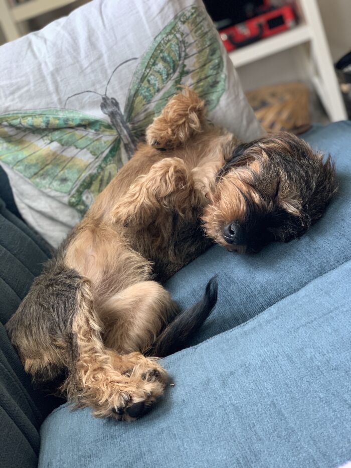 Meggie Belledean *smooth Jazz*