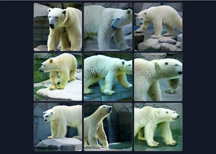 Good Job, Craiyon.com! But, Uh, Some Of The Results Are Messed Up