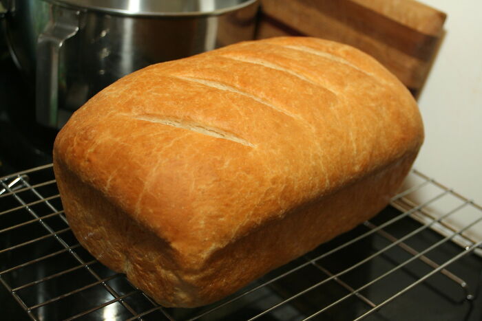 No existen las preguntas tontas, pero estas 25 personas demostraron lo contrario