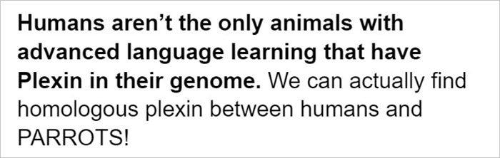 Netizens Are Loving This Humorous Tumblr Post Dedicated To The Intellectual Contrast Between Crows And Keas