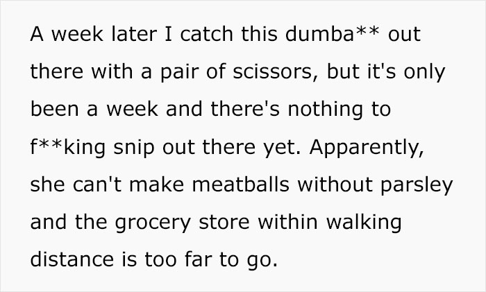 Person Livid After Neighbor&rsquo;s Girlfriend &ldquo;Helps Herself&rdquo; To Their Entire Herb Garden After Being Offered &ldquo;Some&rdquo;