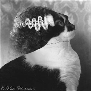 zombie-sushi-gm avatar