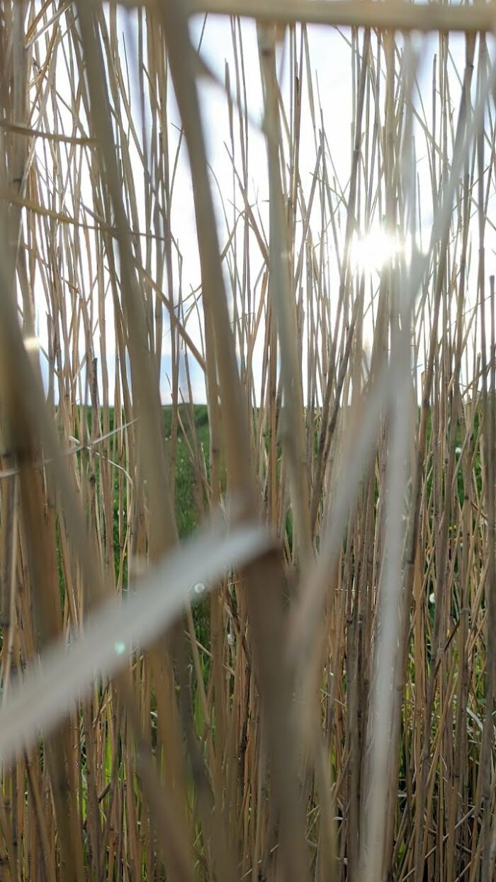 Some Amateur Photography